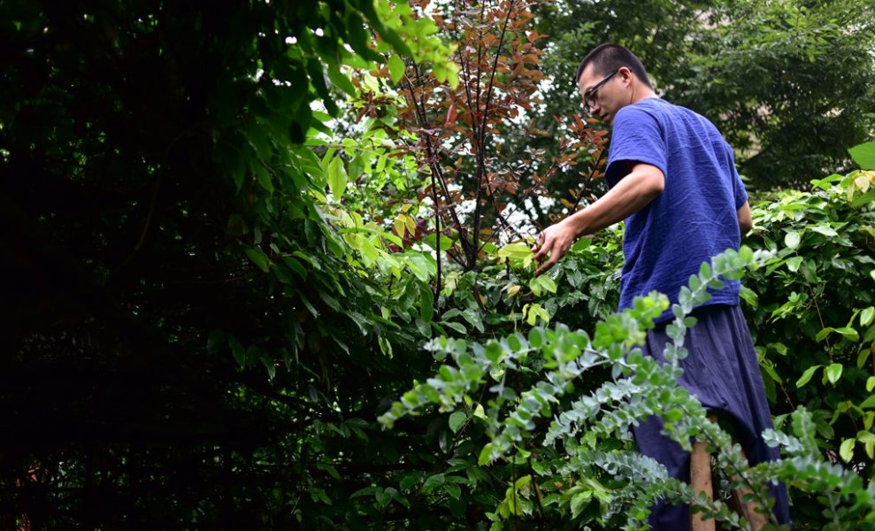 【九月精彩封面】植覺工作室：他在杭郊種下滿院苔蘚，安守四季陽光