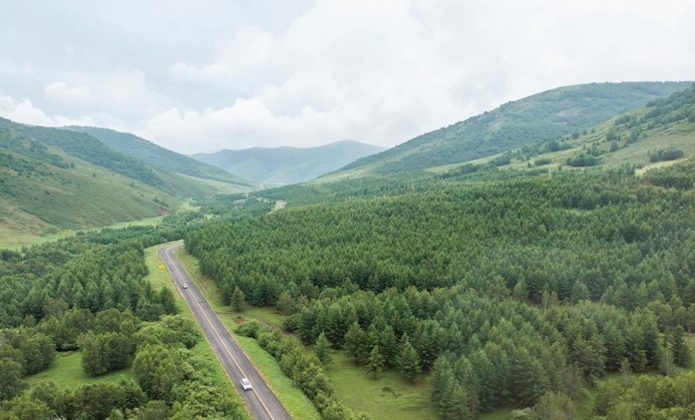 穿越內蒙古的極致美景！探訪「千花百藥山」及最美草原公路