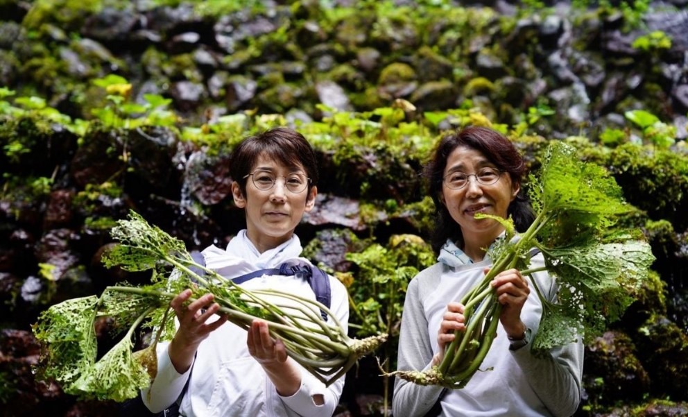 到東京多摩體驗三大野趣遊！和紙製作、湖邊野營、山葵農場 擁抱自然好愜意！