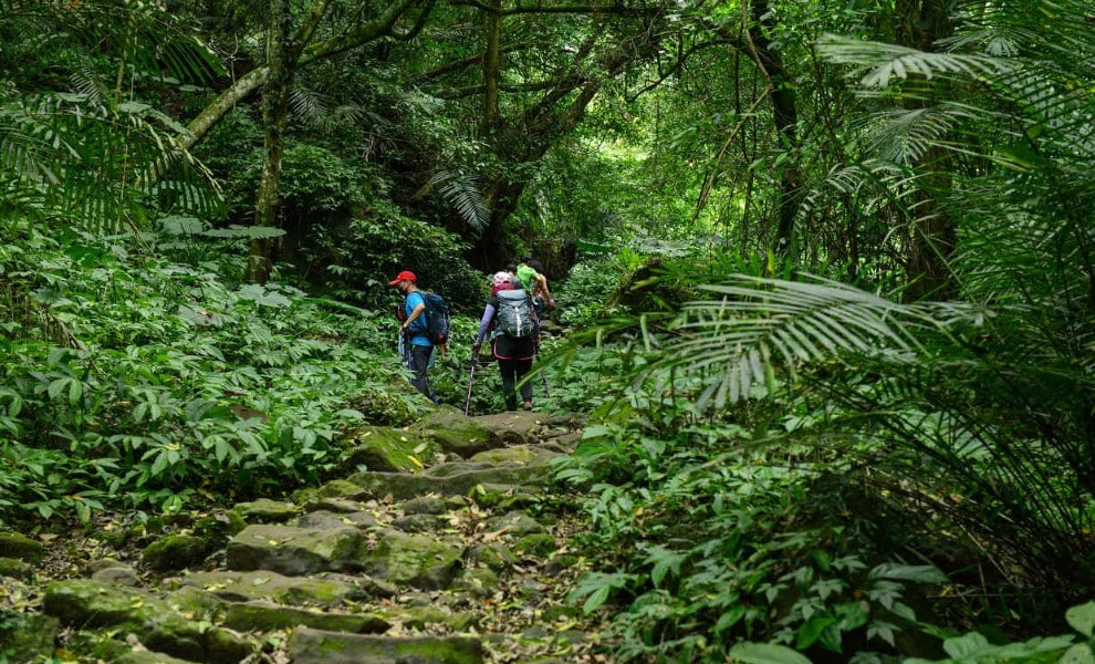 【旅讀早安】《樟之細路的秘密》月底全球首映 揭開古道神秘面紗