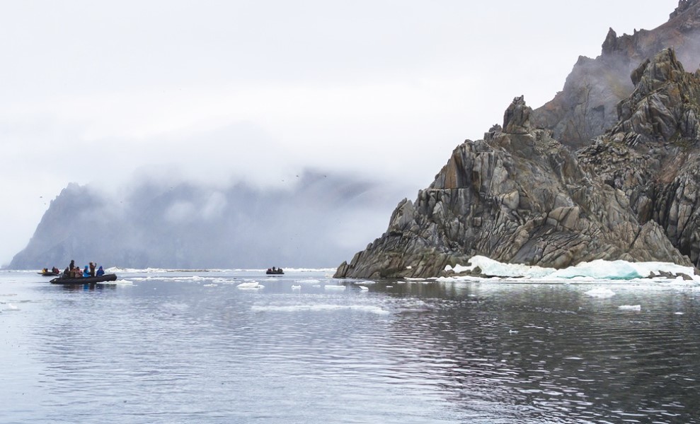 【精彩封面故事】俄羅斯‧ 弗蘭格爾島Wrangel Island｜極凍生態樂園