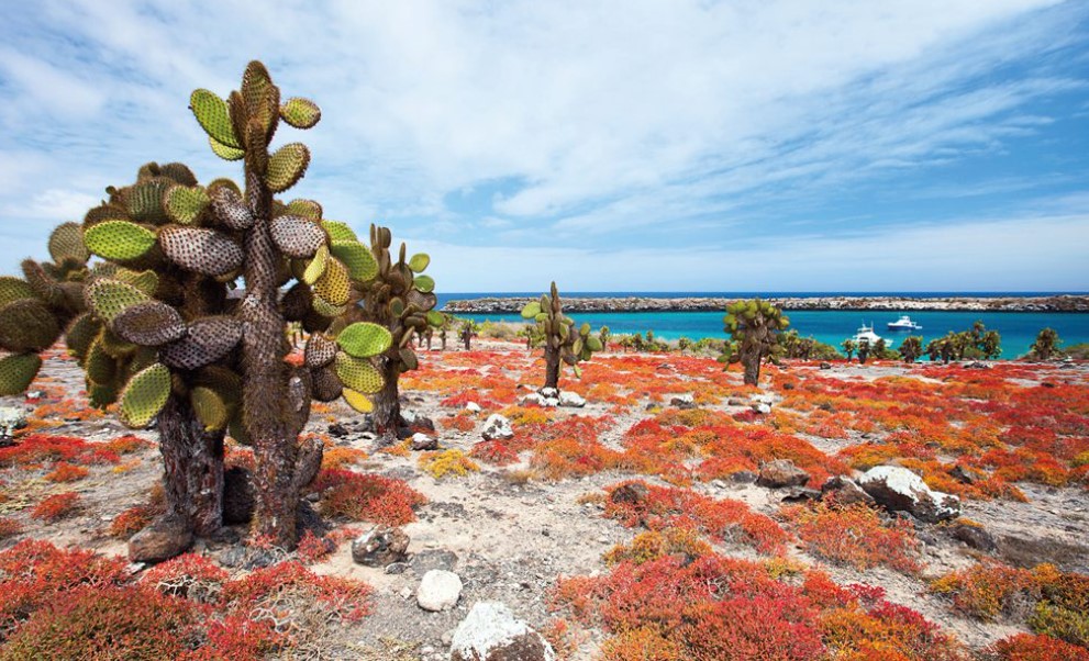 【精彩封面故事】厄瓜多‧ 加拉巴哥群島Galapagos Islands｜上帝的生態園