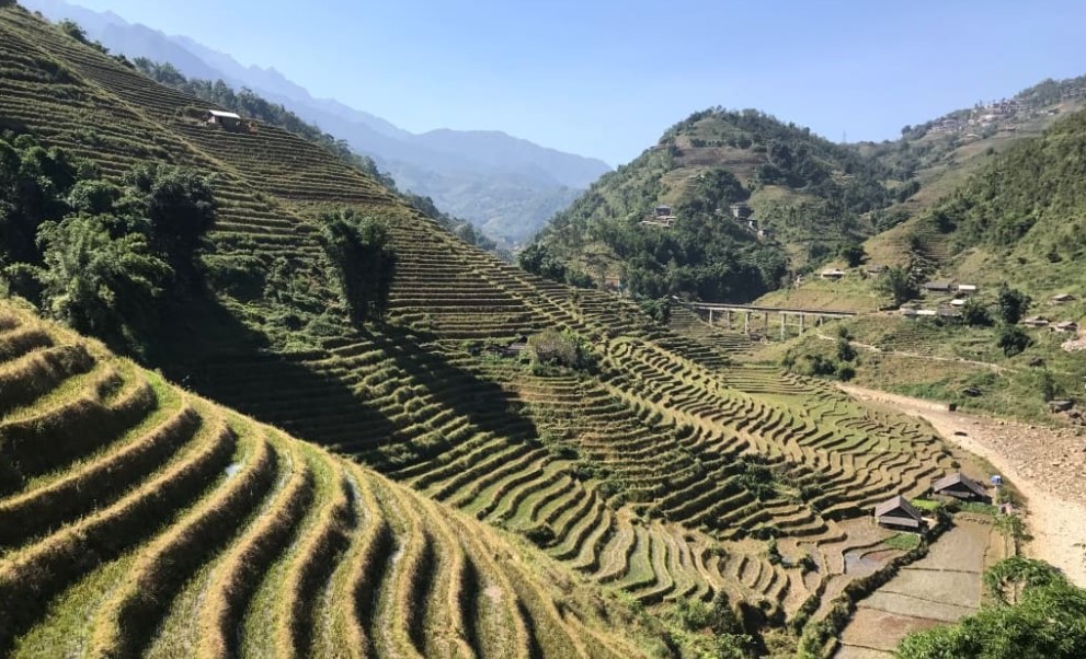 【城市思潮】越南梯田之城沙壩：既苗且法，文化混搭小山城