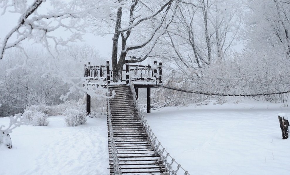 【跟我走】雪之國度：冰雪舞松，銀白吉林