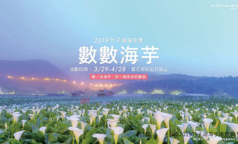 【旅讀早安】2019竹子湖海芋季，我們一起「數數海芋」