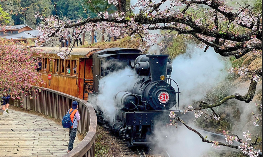 櫻花、鐵道與詩意時光！阿里山春日旅遊攻略一次看