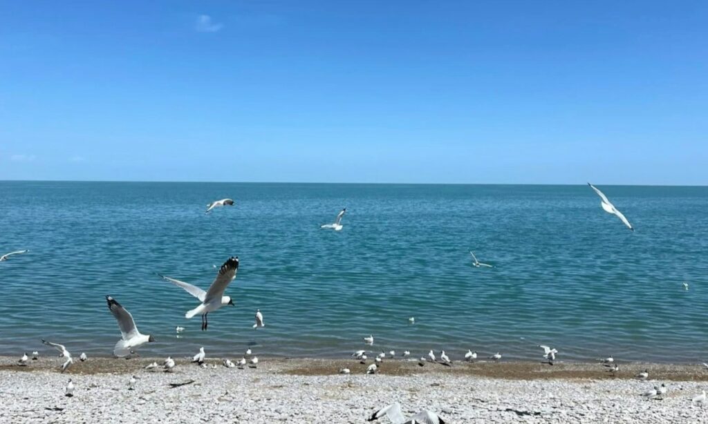 青海5大必去打卡點一次看!油菜花田、天空之鏡、U型公路全攻略