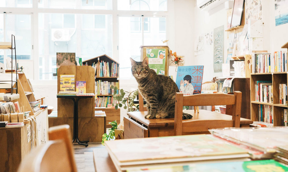從屏東田園到基隆巷弄,她用一間「小獸書屋」,圓了與動物、書本為伍的夢