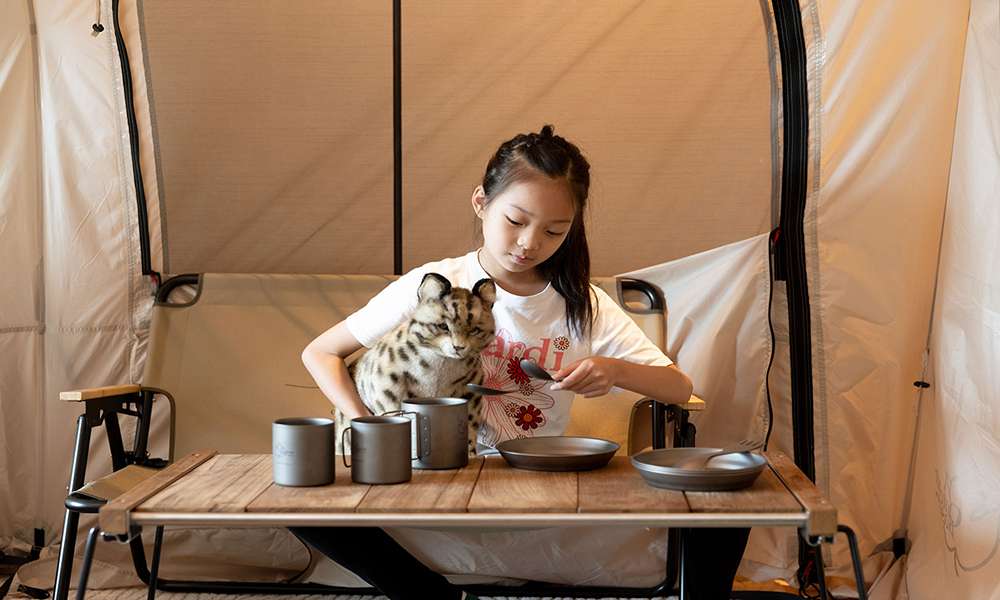 親子夢幻暑假首選!蘊泉庄「2025涼夏親子渡假營」限時開跑、主題活動天天驚喜