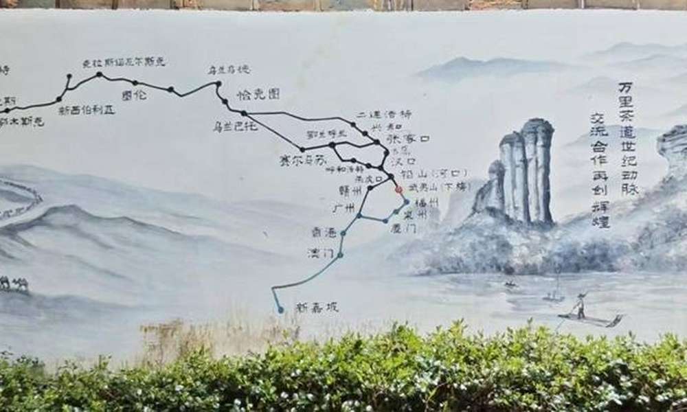 一片茶葉如何改變世界?一條1.3萬公里的「萬里茶道」,從武夷山飄香到聖彼得堡!