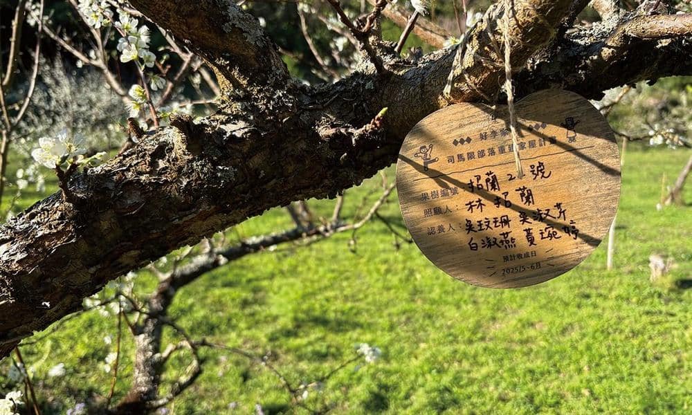 好李家在2.0:一起認養果樹 幫助重建司馬限部落!