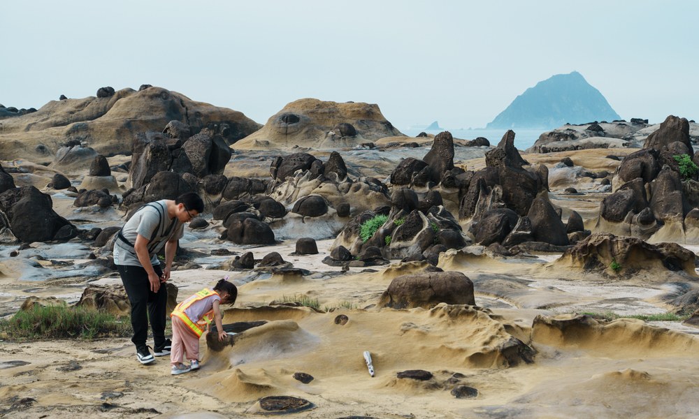 童年的海角樂園,返鄉青年把廢墟變成「會呼吸的海洋樂園」