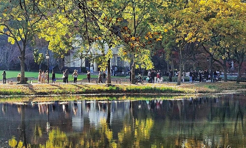 把孩子交給博物館:杭州父母,夏日濕地「放娃」