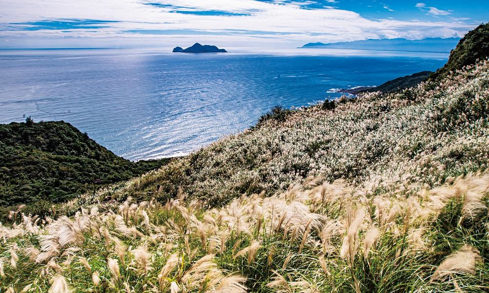 秋冬限定!「金芒舞秋風・九份小旅行」草嶺古道芒花季浪漫登場