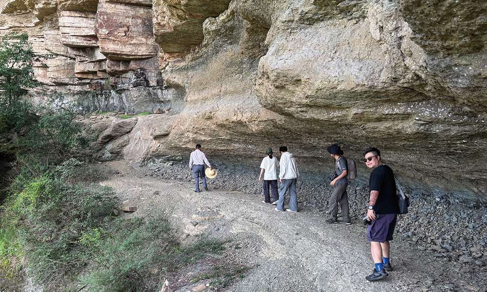 張家界地貌解碼 | 3.8億年的演化史,揭秘峰林、天生橋、金鞭岩砂岩絕景的「變形記」