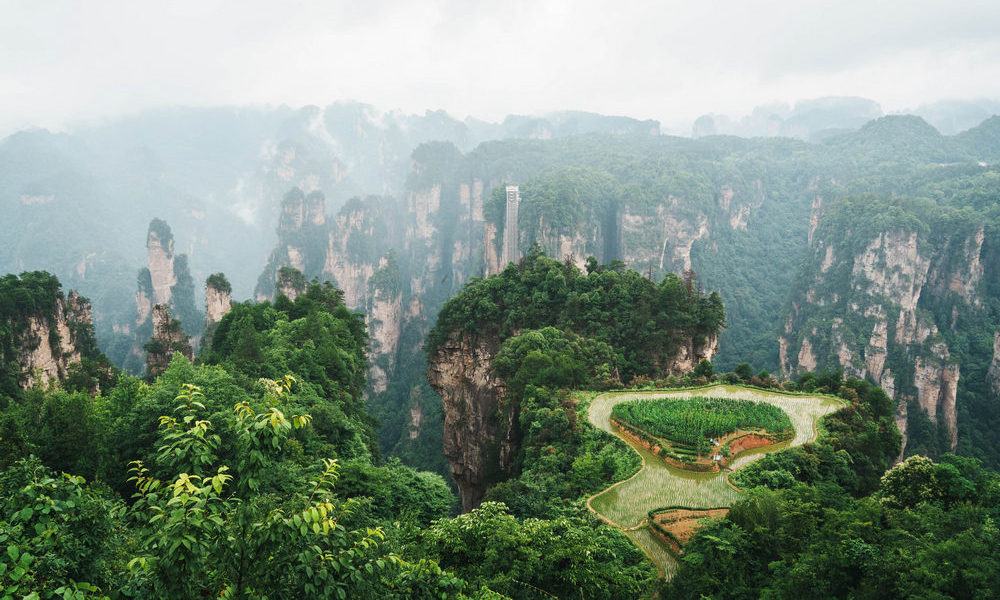 張家界最佳拍攝點大公開:金鞭溪到天子山索道,私藏路線帶你玩盡武陵源