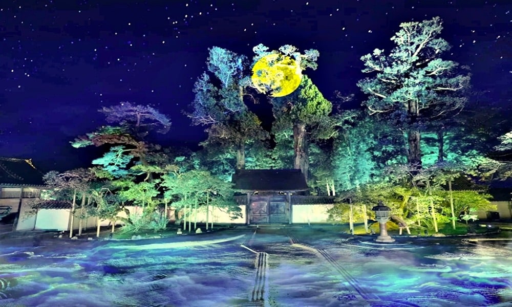 宮城秋季全攻略:NAKED松島夜間參拜、氣仙沼牡蠣體驗與仙台牛日饗宴