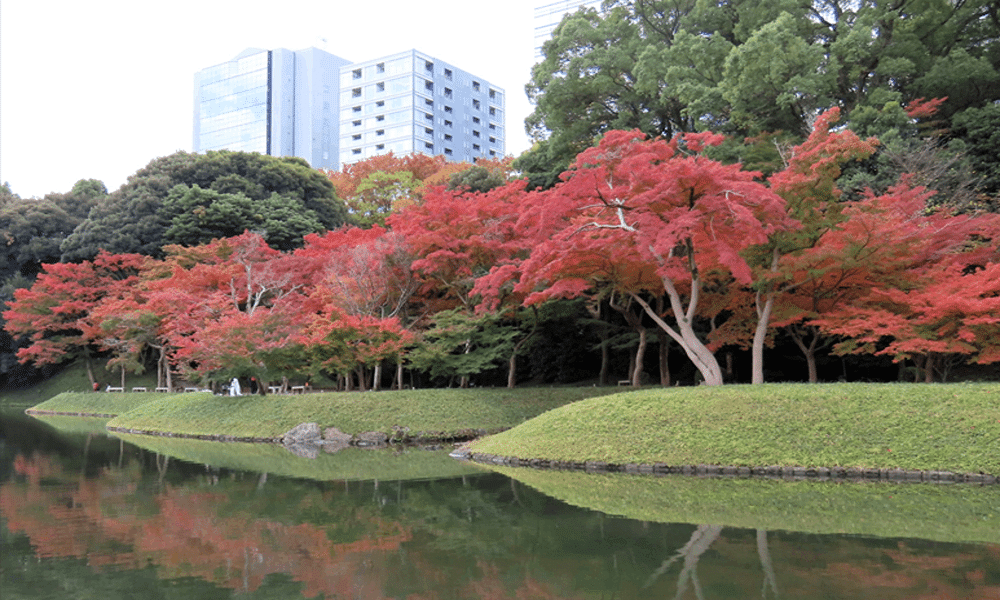一日三重秋:小石川後樂園賞楓、高尾山自然體驗、深大寺品蕎麥,東京文化之秋路線一次收藏