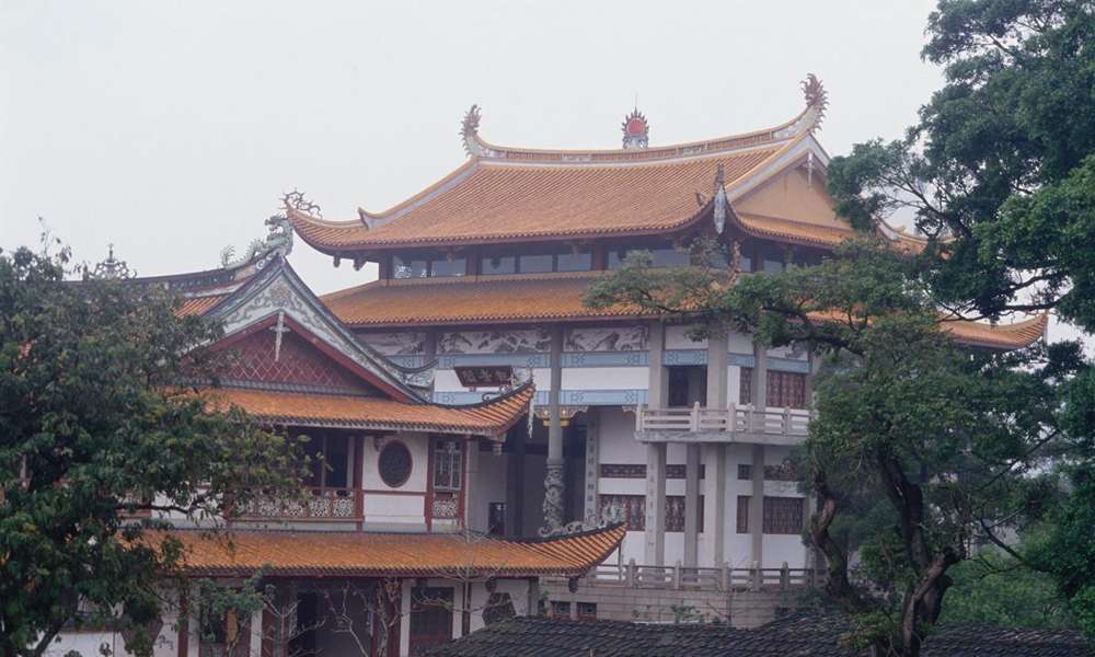 福州西禪寺千年宋荔奇蹟,靠一層樹皮托起生命