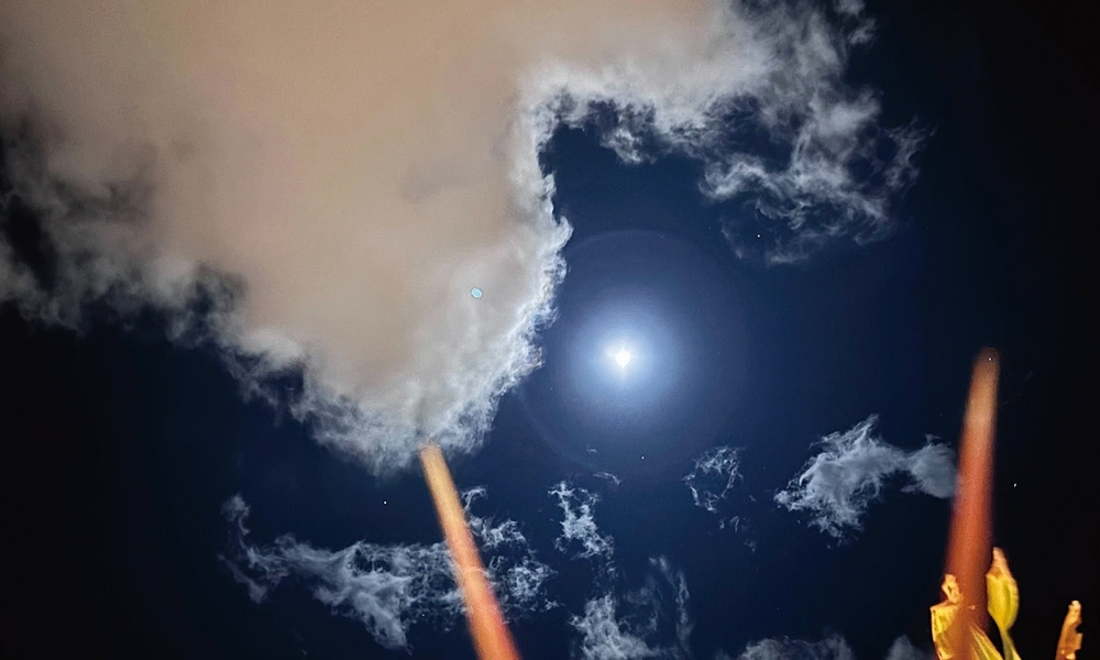 在恆春默默看一回月亮,當民謠傳藝師撥弄琴弦,國境之南的夜空,聽起來特別清澈