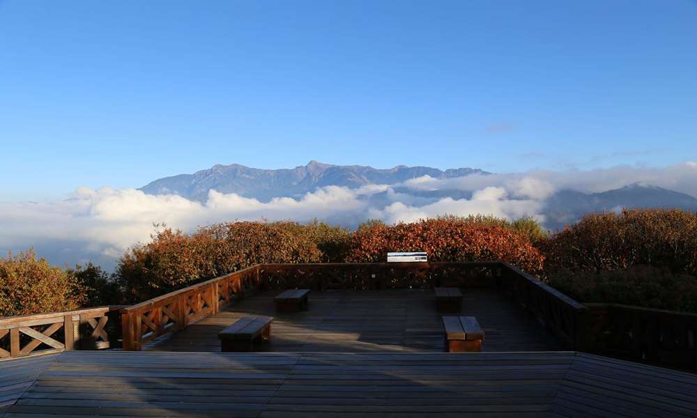 過年住進雲海裡,迎接馬年第一道曙光:阿里山賓館推「一站式」度假,住就送「馬年贏家」限量福袋