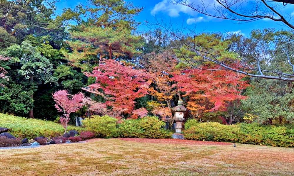 2026 北九州初詣攻略!5 大氣場最強神社推薦,加碼探訪「北九州廚房」旦過市場美食與故事