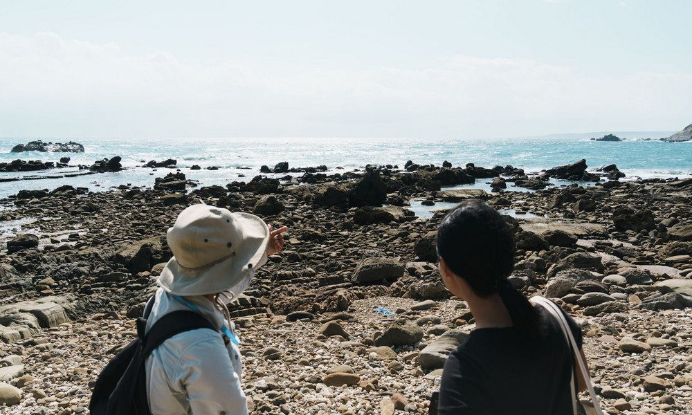 恆春生態旅遊怎麼玩?在地人帶路:無人海岸、龍坑礁岩與欖仁溪谷的三場深度導覽