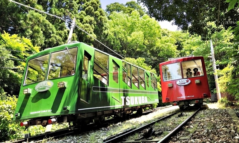 2026日本春季祭典|茨城初春 3 大亮點:偕樂園光之茶室、筑波山雲端梅林、還有 JR 車站裡的「地酒販賣機」?