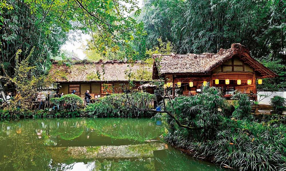 初春限定風景:三月天,到成都杜甫草堂看玉蘭最美時刻