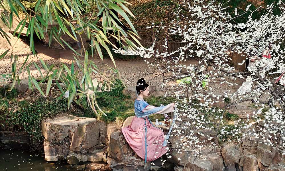 塔影梅香處,一隅姑蘇春:蘇州北寺塔梅圃賞梅秘境 古塔下最靜謐的春日園林