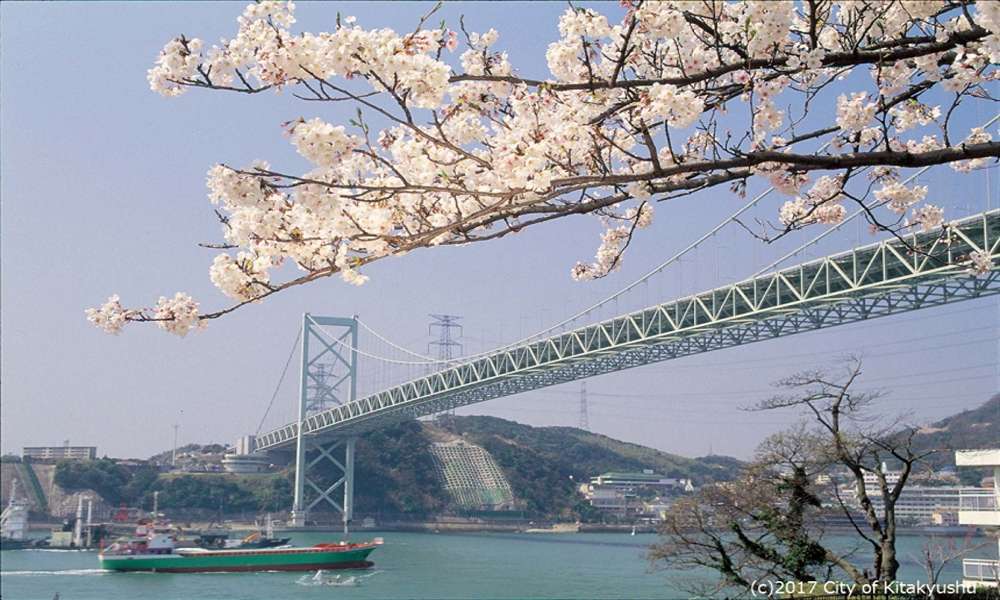 北九州不只工業城!「敞篷巴士」3 月底正式啟航,3.8 米高視角俯瞰門司港懷舊街景與粉紅櫻花海