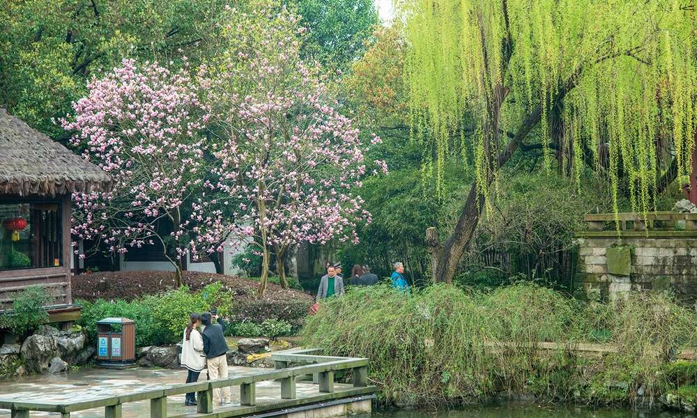 愛自己先於禮法:千年前的頂客族、女大男小、離婚再嫁,李清照的清醒人生