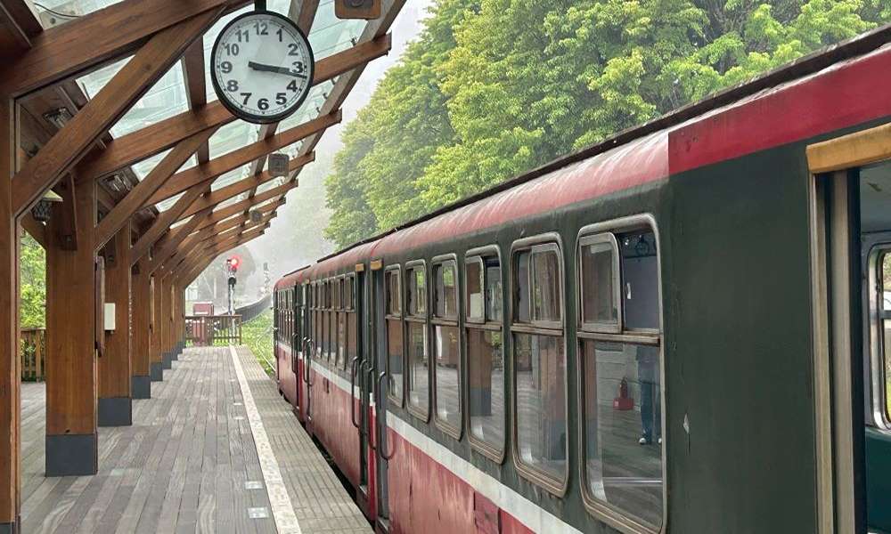 暑假親子遊首選!阿里山百年蒸汽火車、森林步道、茶旅體驗一次收藏