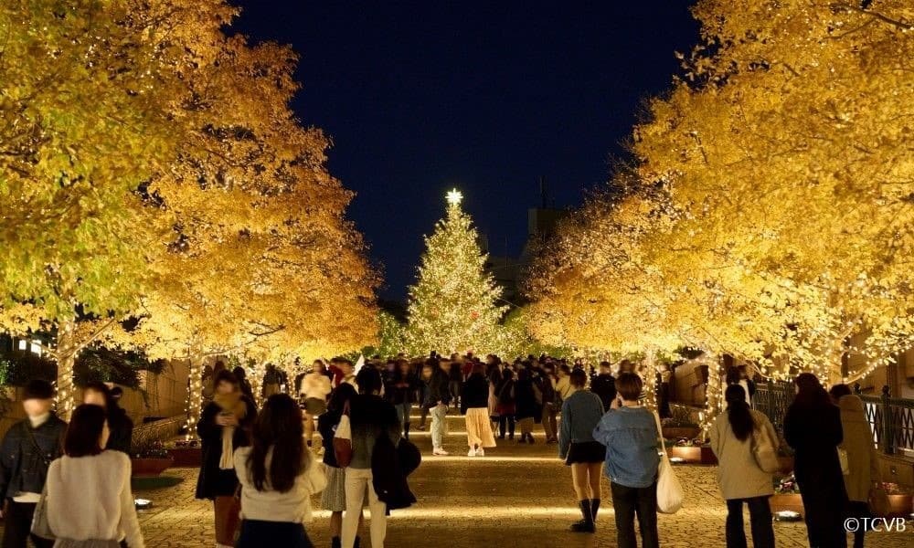 東京皇宮酒店2晚體驗「A Tokyo Christmas」 專車漫遊璀璨聖誕燈海